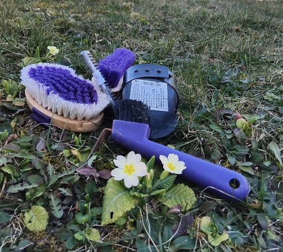 481506277 1021025946619732 3125750975860149025 n