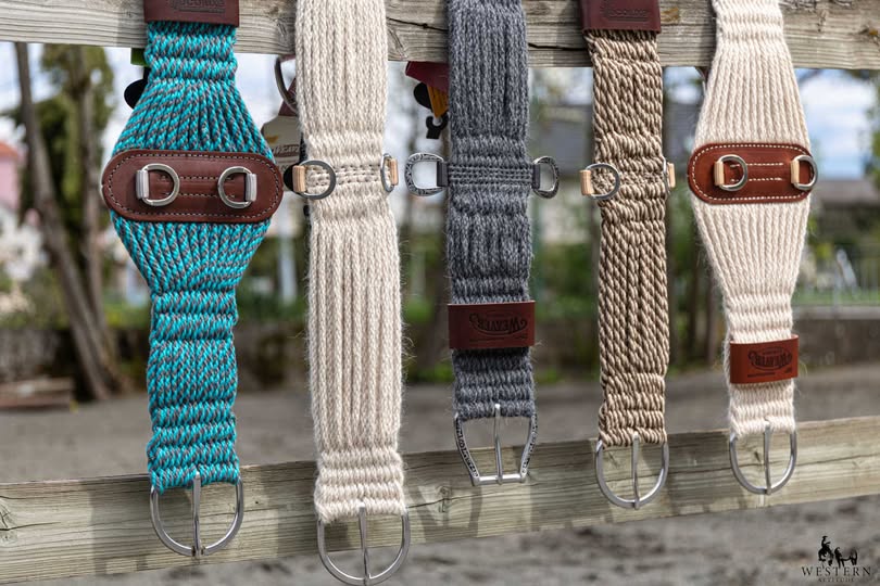 491293603 1142322747695022 4138730040819771759 n