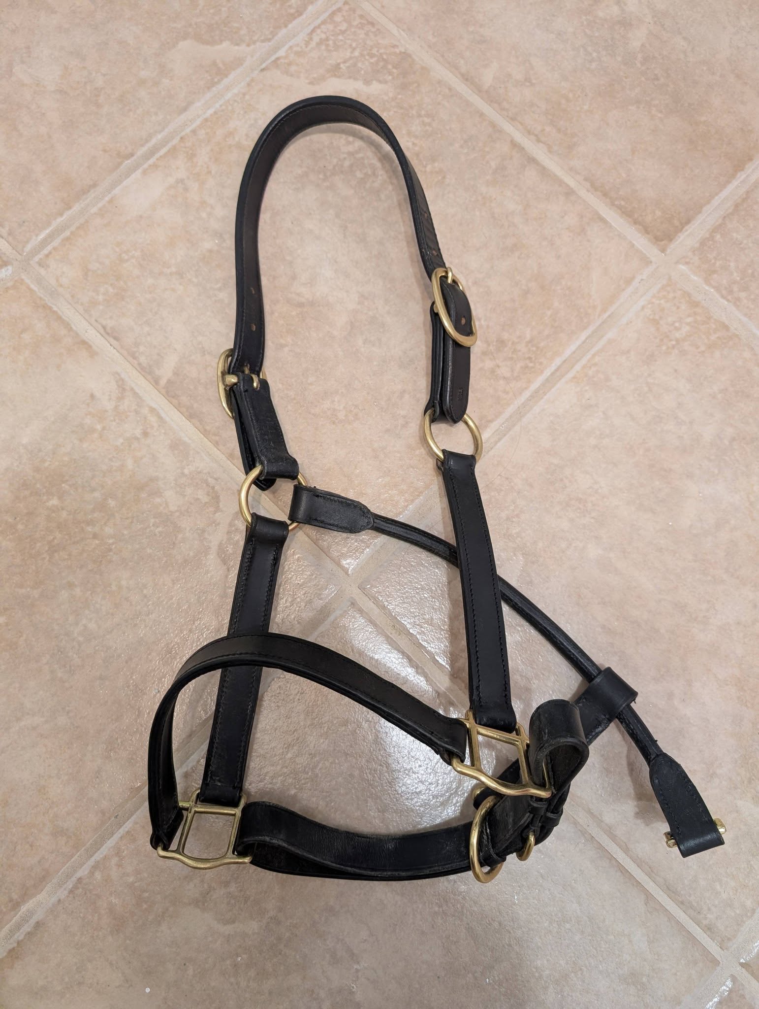 650727503 10163925422610269 8219842274276012184 n