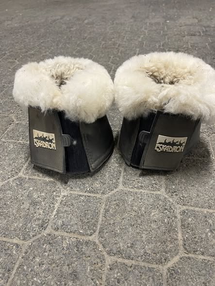 666519313 1480676277186465 4555609810413380003 n